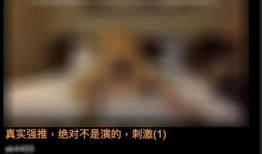 看看黄色视频,黄色视频的负面影响与应对策略