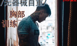 娱乐圈吃瓜纹身哥小说,娱乐圈的神秘纹身与不为人知的秘密